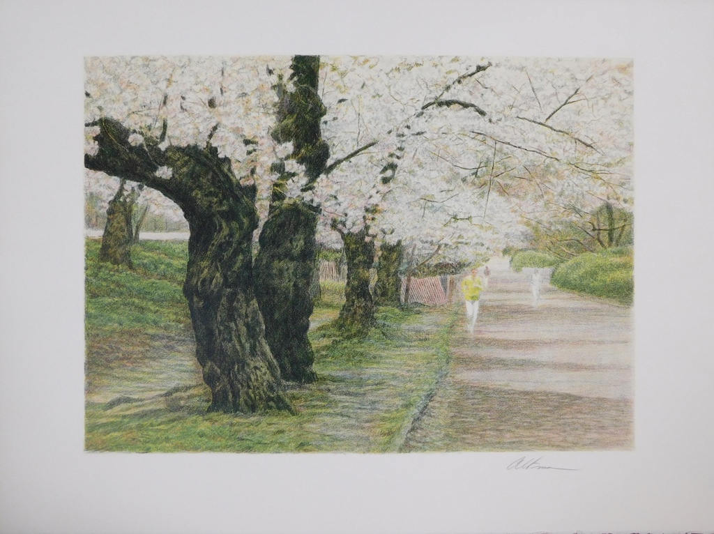 Harold Altman - Kleurenlitho - Blossom verkocht voor € 40!