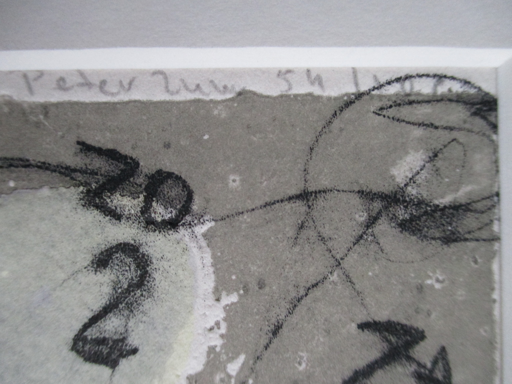 Peter Zuur, ets en litho, 1997 kopen? Bied vanaf 25!