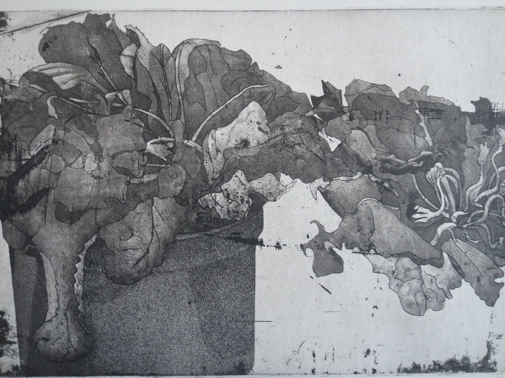 Jan Prins (1956) - (zeldzame) ets - bloemen in pot  kopen? Bied vanaf 1!