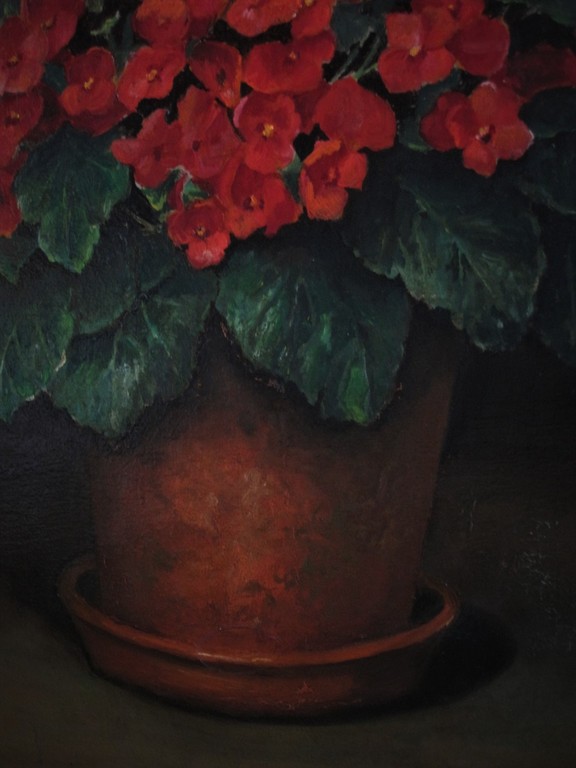 Prachtig GROOT gesigneerd "Grootveld 1949" stilleven van rode potplant Begonia?  kopen? Bied vanaf 1!