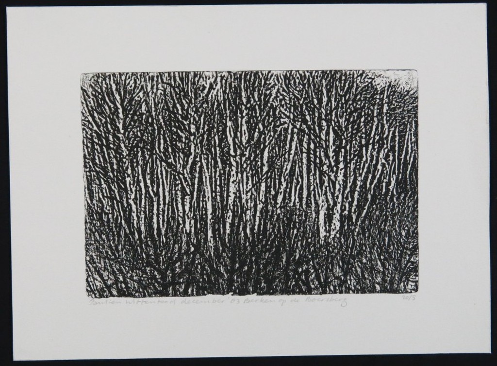 Paulien Wittenrood: Ets, Berken op de Boersberg kopen? Bied vanaf 20!