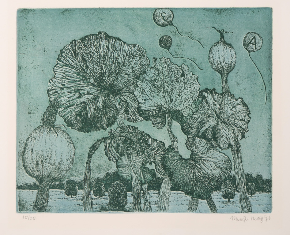 Marijke Hertog: Ets, Zonder titel kopen? Bied vanaf 20!