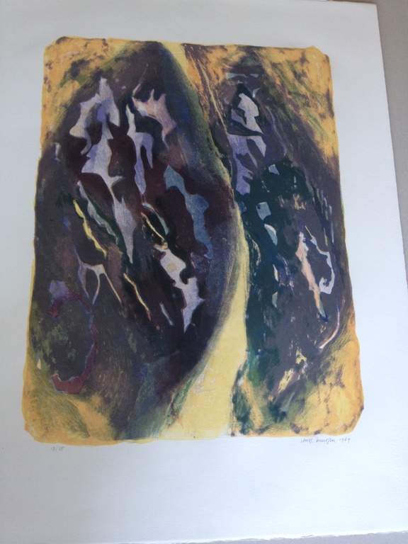 Chris Buursen kleurenlitho Abstract kopen? Bied vanaf 35!
