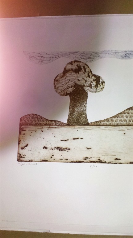 Dianel : Ets eigen druk 5/20 1977 kopen? Bied vanaf 40!