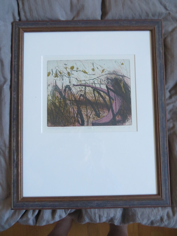 Hans Vredegoor, ets/aquatint, "de verborgen bron" verkocht voor € 40!