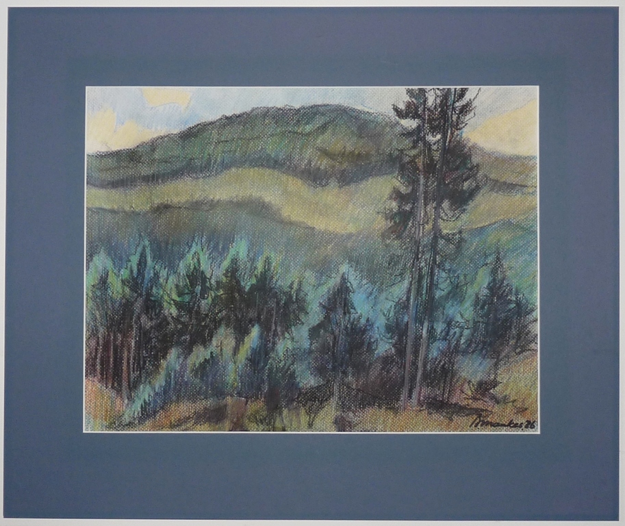Beint Mankes, Kleurtekening, Naaldbomen en bergen, 1986. kopen? Bied vanaf 55!
