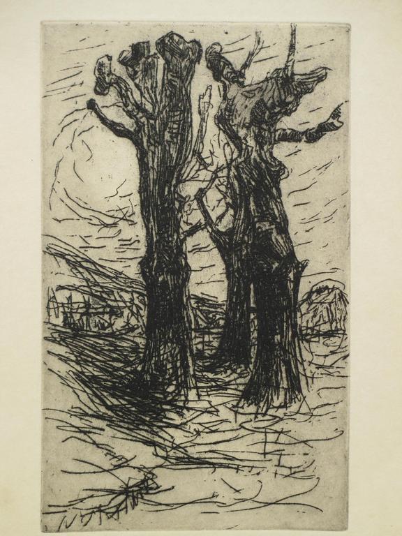 Floris Verster, Kastanjebomen, Ets 1890 kopen? Bied vanaf 80!