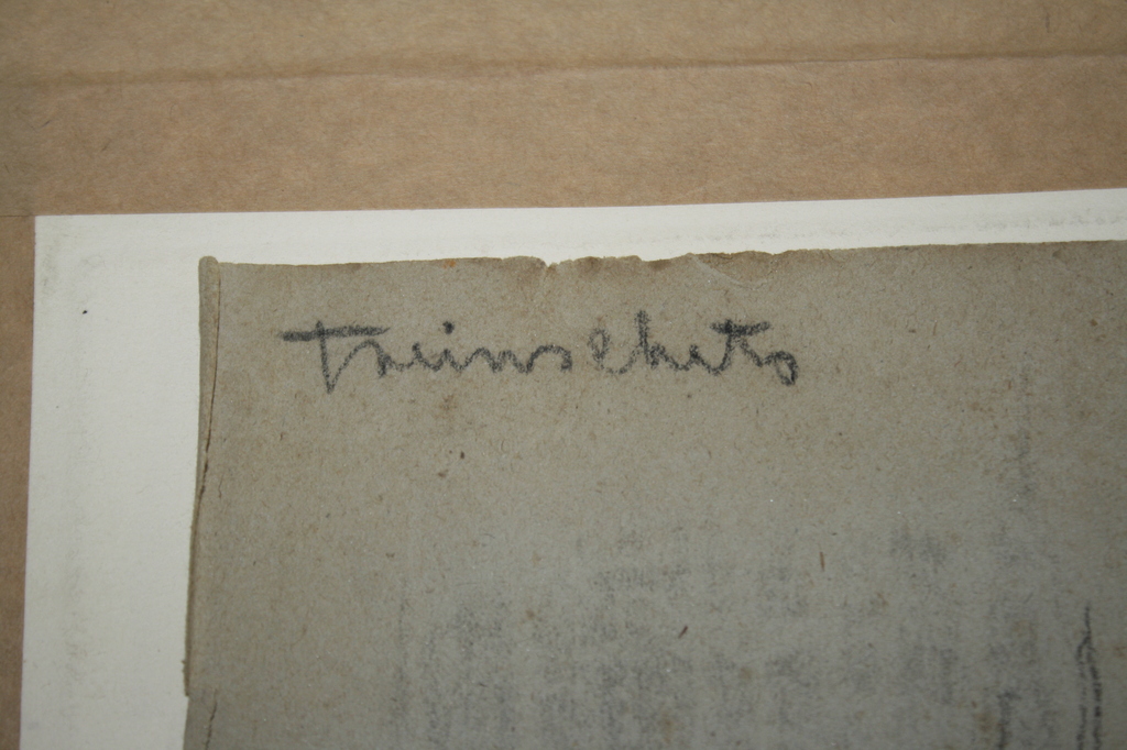 MAN IN TREIN DOOR AD BEEKMANS 1929 kopen? Bied vanaf 20!