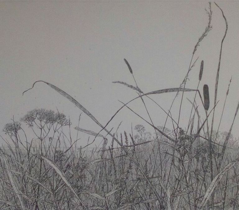 Reinder Homan: lijnets, De Brug verkocht voor € 110!