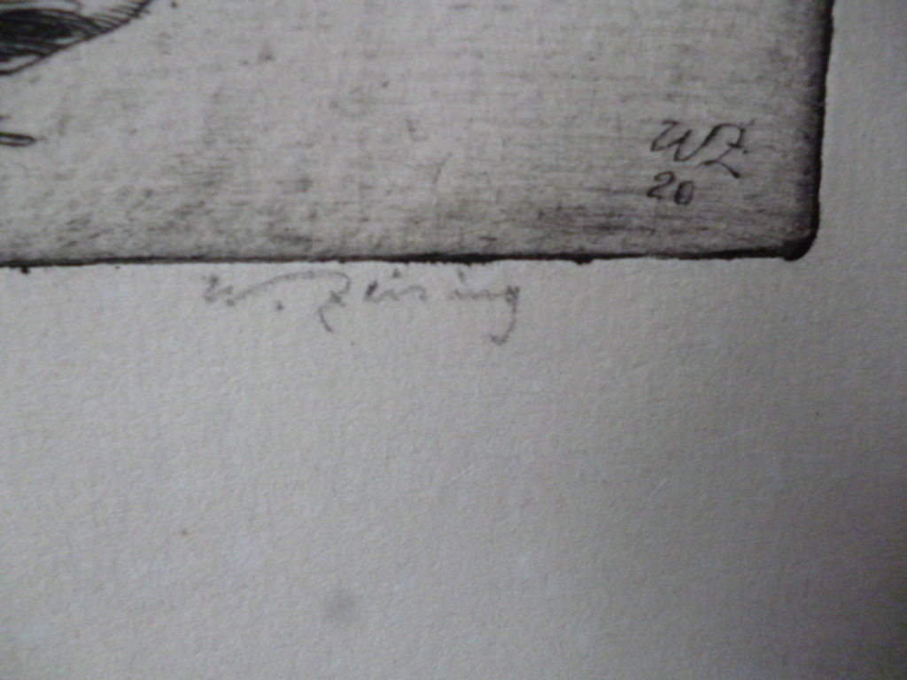 Walter Zeising - ets - Het Donkere Spaarne, Haarlem kopen? Bied vanaf 75!