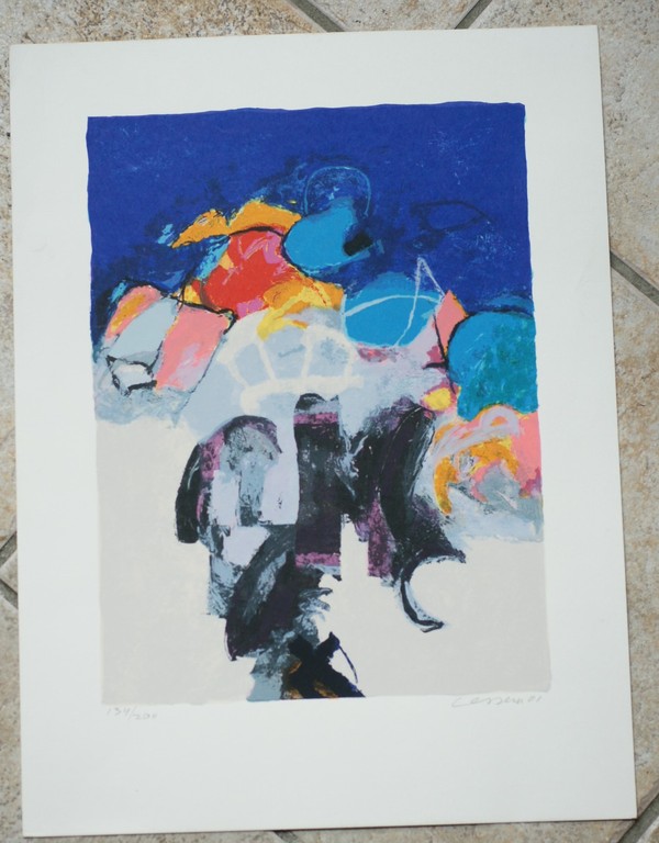 Henk van Vessem - abstract landschap - zeefdruk - jaar: 2001 - hand gesigneerd kopen? Bied vanaf 25!