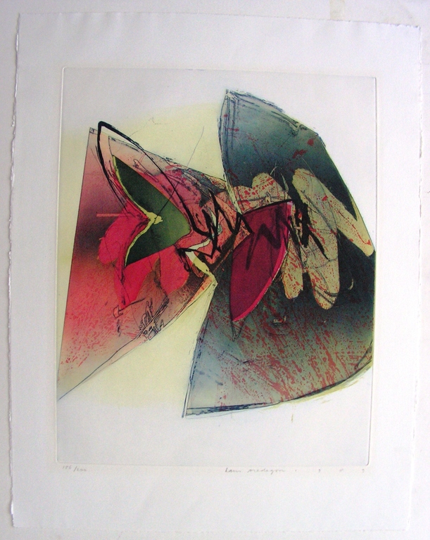 Hans Vredegoor (1953) - kleuren ets - ZT - gesigneerd. verkocht voor € 45!