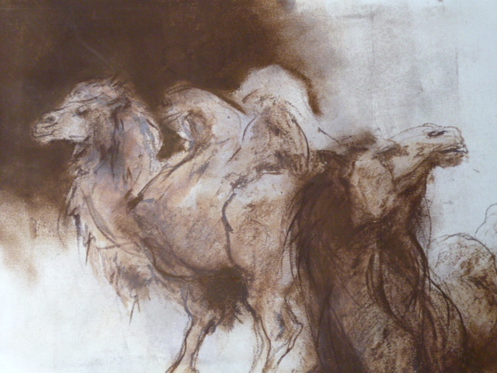 Ru van Rossem - krijttekening - Twee kamelen kopen? Bied vanaf 140!