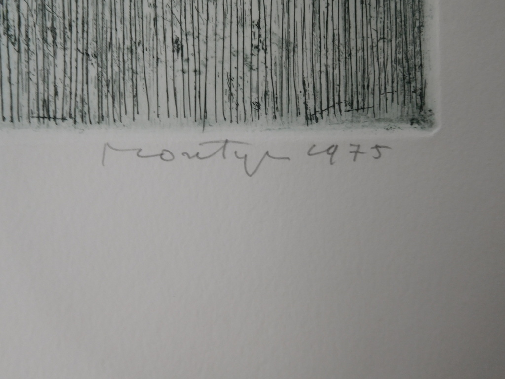 Jan Montyn, Ets/ Aquatint 1975, gesigneerd en genummerd 31/190 kopen? Bied vanaf 150!