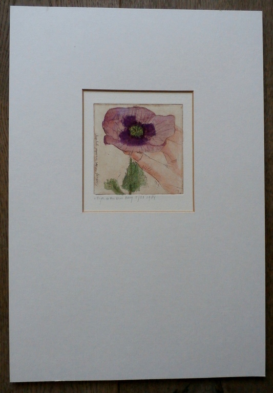 Arja van den Berg - ets: Papaver - 1984 kopen? Bied vanaf 45!
