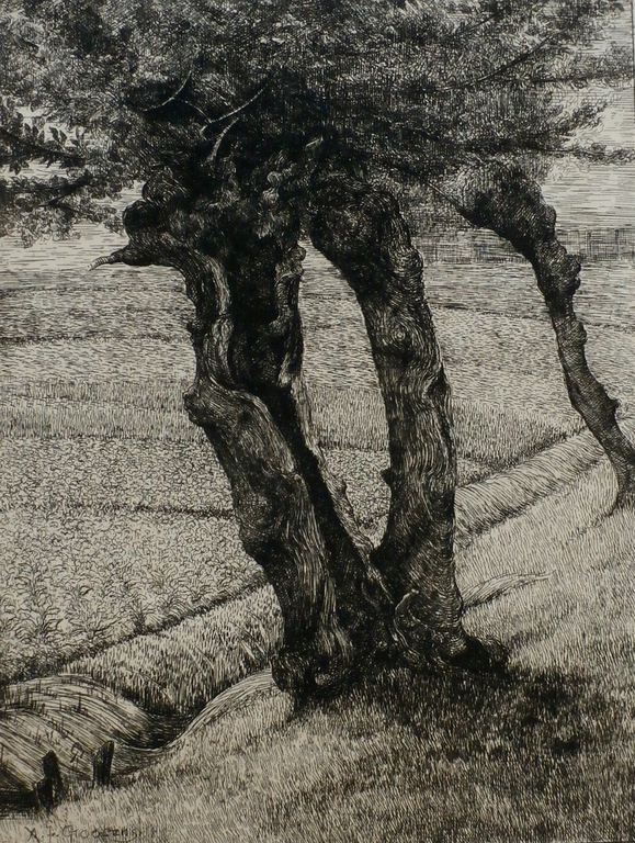 Adrianus Johannes Grootens - Ets: bomen verkocht voor € 45!