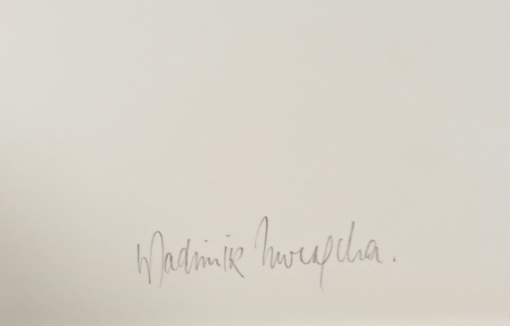 Wladimir Zwaagstra: Zeefdruk, Zonder titel kopen? Bied vanaf 20!