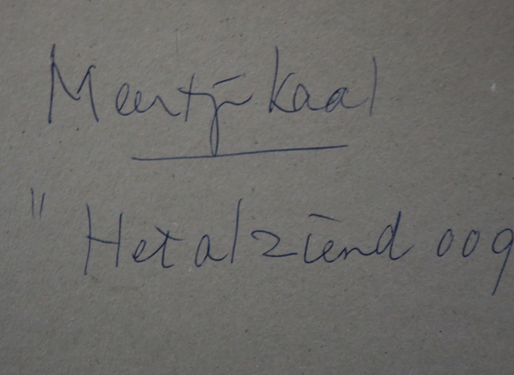 Meertje Kaal: Acryl op board, Het alziend oog - Ingelijst kopen? Bied vanaf 1!