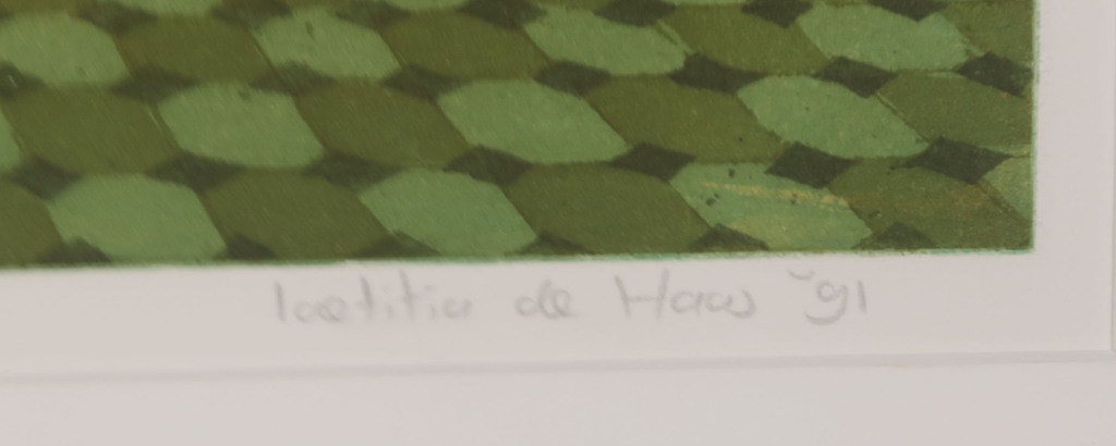 Laetitia de Haas: Aquatint, Lago Maggiore kopen? Bied vanaf 20!