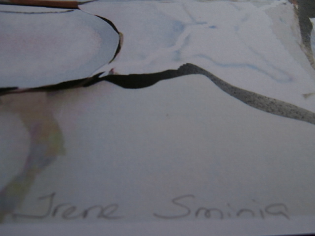 irene sminia * vijfde landschap * digitale grafiek kopen? Bied vanaf 49!