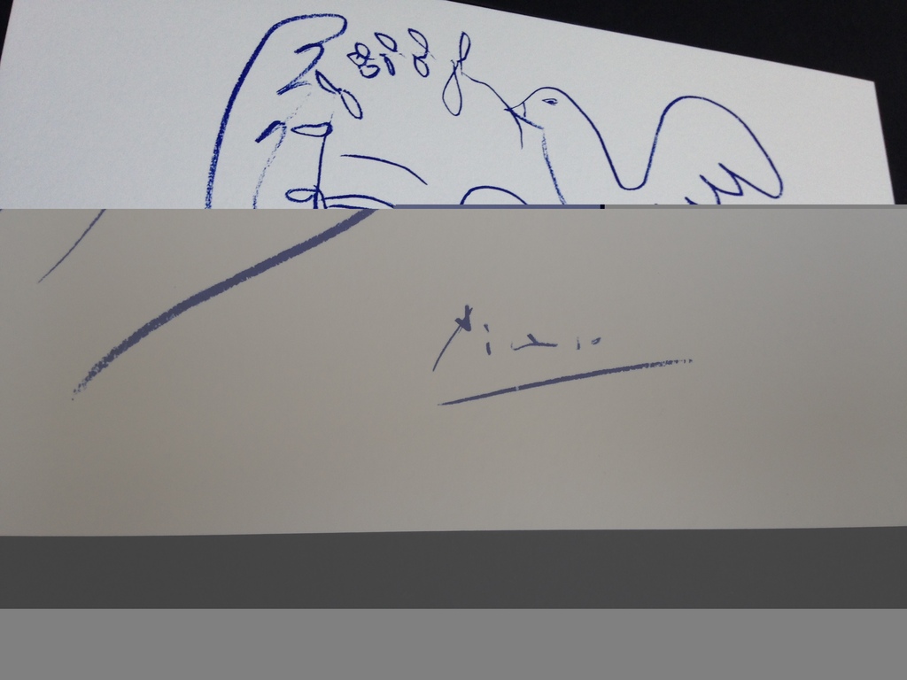 Geert Jan Jansen: Zeefdruk, Picasso  kopen? Bied vanaf 60!