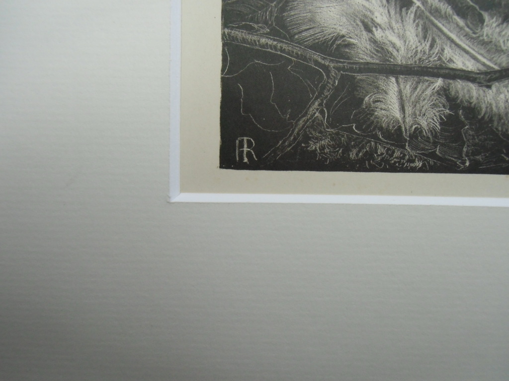 VEERTJES   ///   LITHO VAN INA RAHUSEN kopen? Bied vanaf 30!