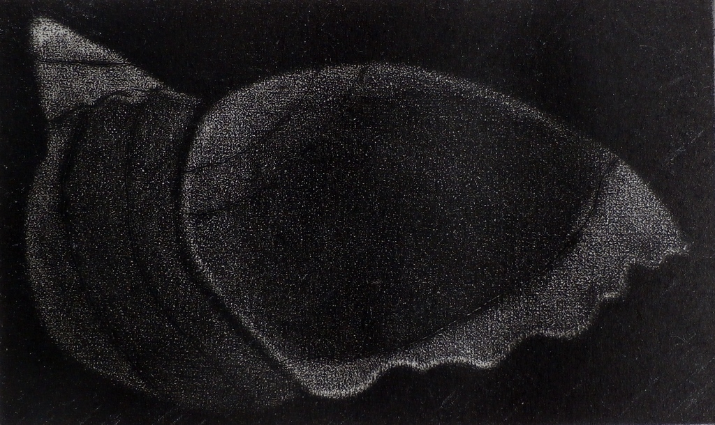 Laatste keer: Henrietta Harkink - ets - 1986 kopen? Bied vanaf 10!