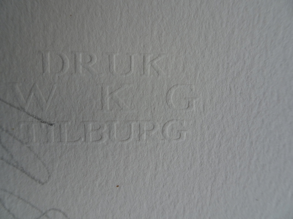 Tine van de Weijer Kleurenzeefdruk kopen? Bied vanaf 1!