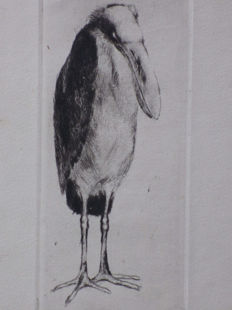 W.C.Gerritsma, Bijzondere vogel, Ets kopen? Bied vanaf 25!