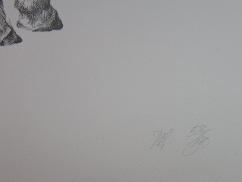 Peter Vos: Litho, Gevoelens kopen? Bied vanaf 100!