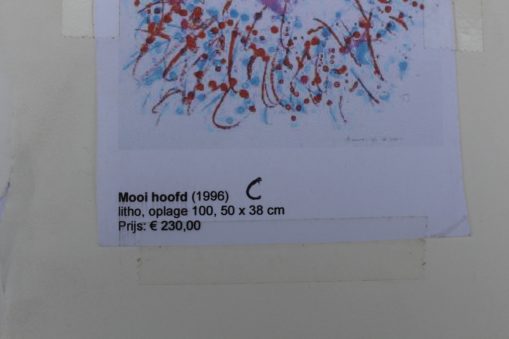 Jef Diederen (1920-2009)- gesigneerd litho - opl. 100 ex. -1996 -galerie Schoots kopen? Bied vanaf 25!