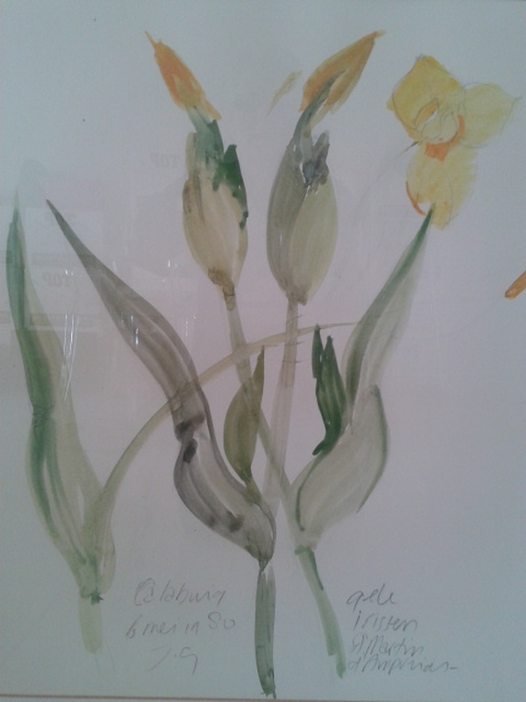 Joep Goeting aquarel  iris 1980  kopen? Bied vanaf 300!