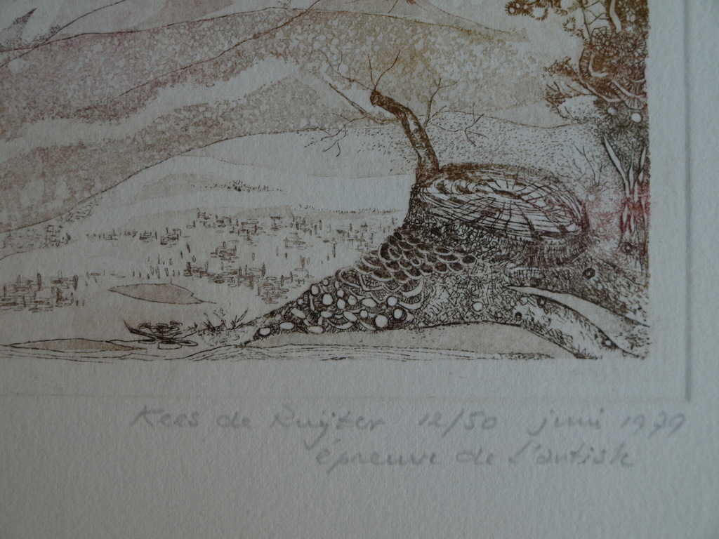 Kees de Ruijter : Ets , Duinen – gesigneerd - 1979  kopen? Bied vanaf 10!