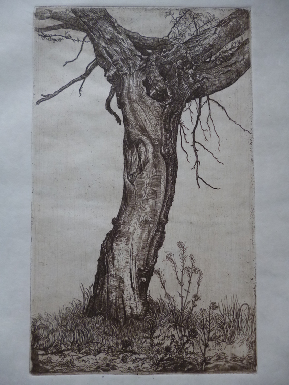 Pieter Dupont - ets - Wilg verkocht voor € 75!