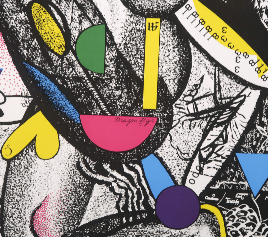 Thomas van der Linden: Zeefdruk, Dragon fly I kopen? Bied vanaf 20!