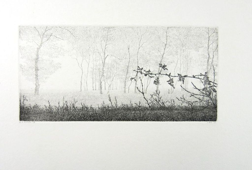 Reinder Homan, ets: Landschap met bomen verkocht voor € 80!