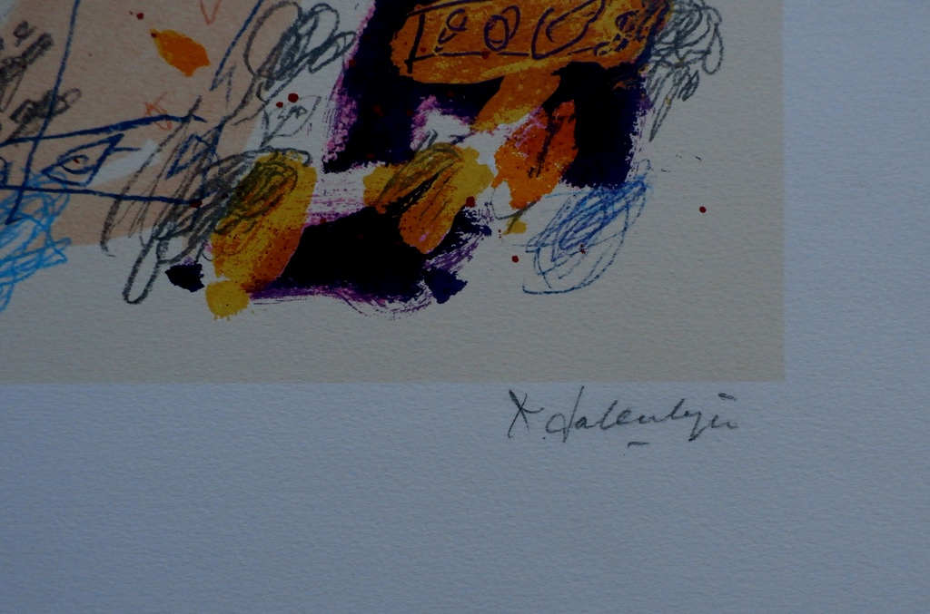 Kees Salentijn - litho - handgesigneerd  kopen? Bied vanaf 55!