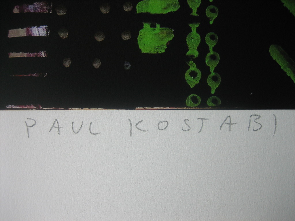 Paul Kostabi - We own this - Giclee - Handgesigneerd - Oplage: 75 - 2014 kopen? Bied vanaf 45!