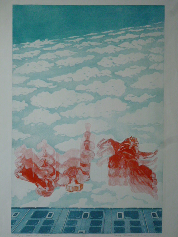 Leentje Linders - kleurenets - Flying above the clouds kopen? Bied vanaf 60!