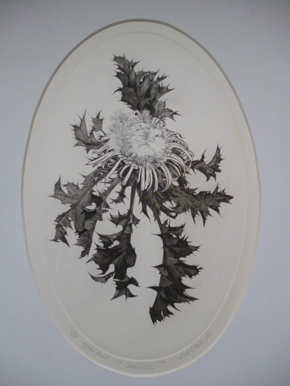 Dick Stolwijk-Etsen-Hemel, Aarde, Water en Vuur kopen? Bied vanaf 100!