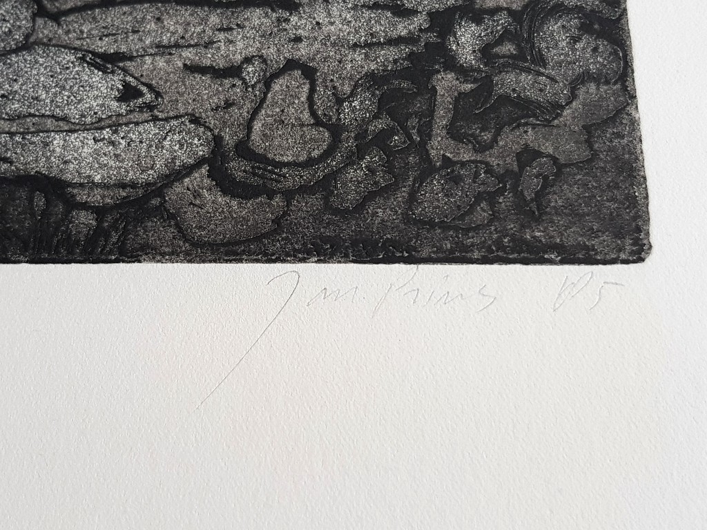 Jan Prins - Ets - Cinema Boucher 85 kopen? Bied vanaf 20!