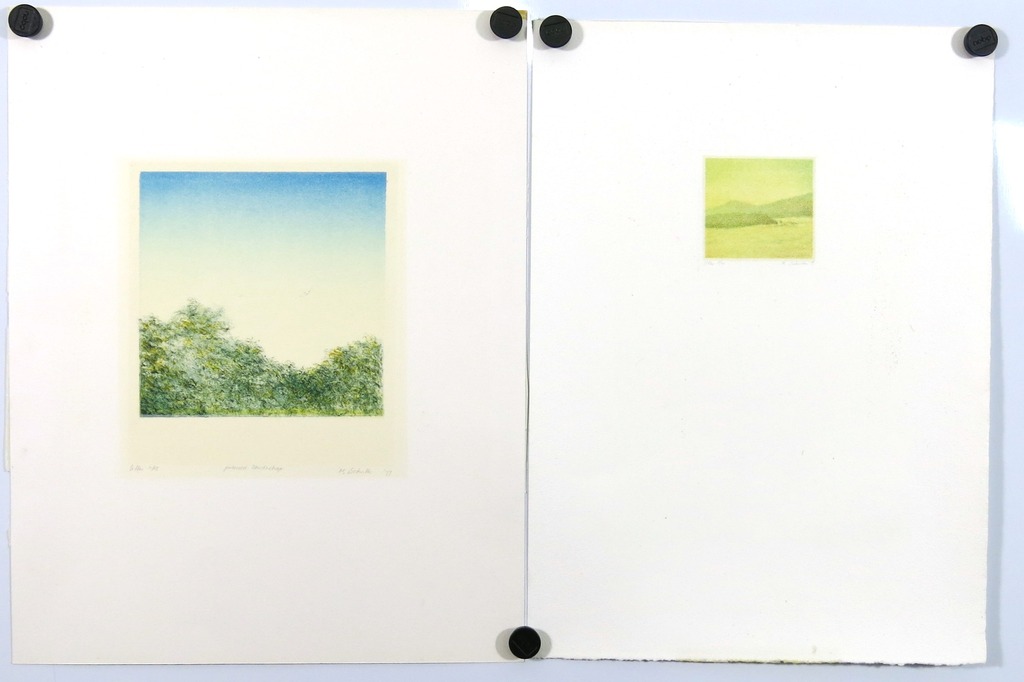 Marian Schutte: 2x Kleurenlitho, Polaroid landschap kopen? Bied vanaf 1!