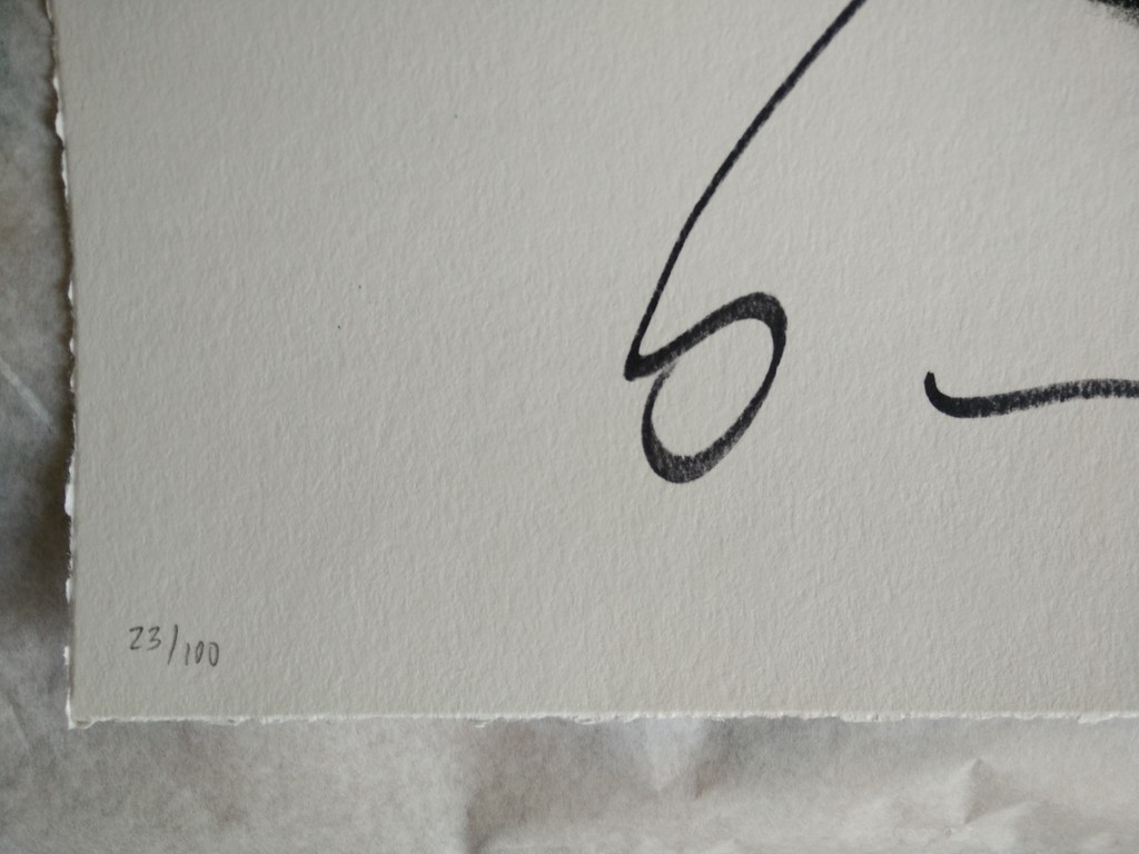 Herman Brood - Hips (handgesigneerd) kopen? Bied vanaf 129!