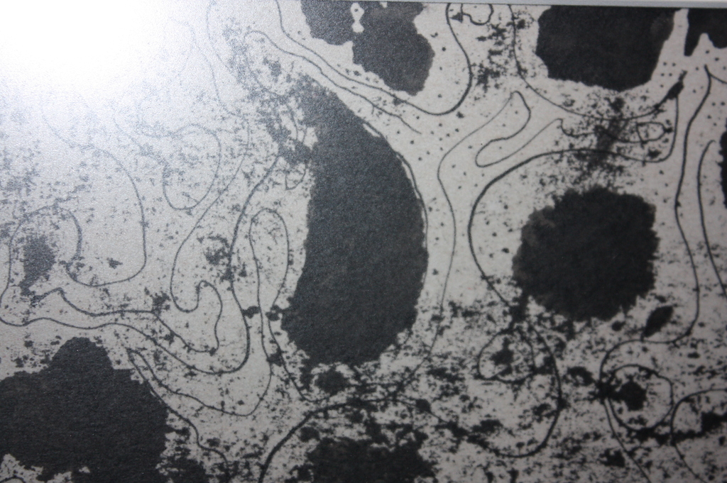 At leve Tekening Jorn kopen? Bied vanaf 1!