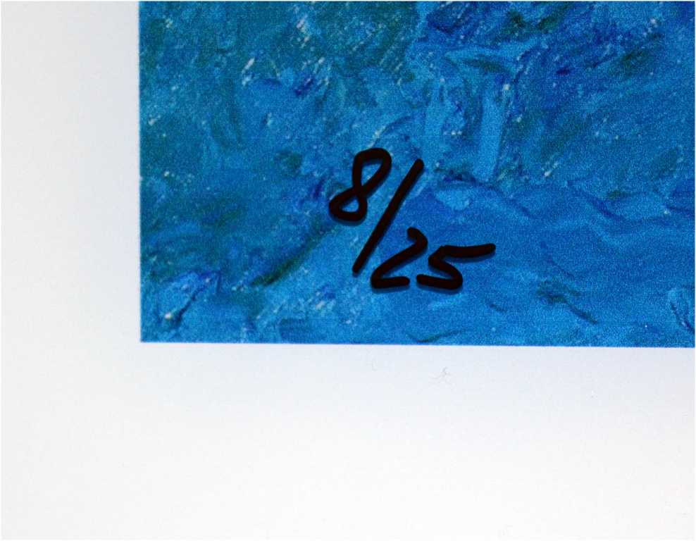 Armando: Seestuck - druk op plexiglas - gesigneerd - oplage 25 ex. - 2015 kopen? Bied vanaf 1!