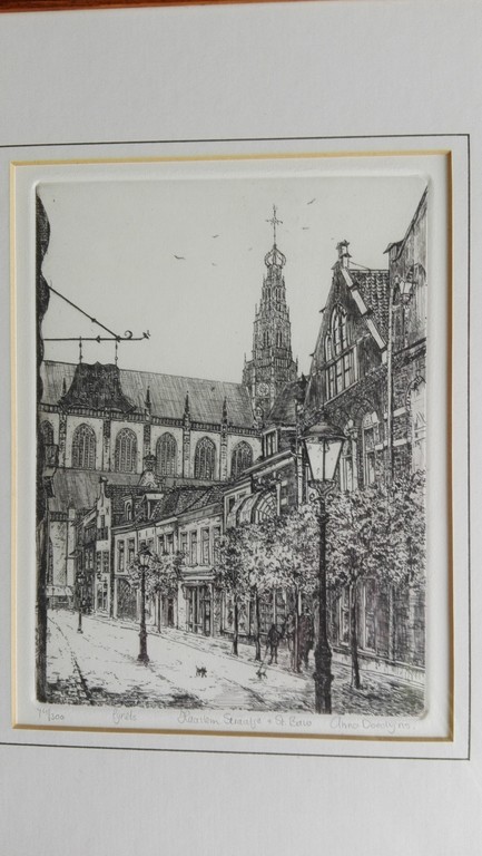 Anna Doedijns: Lijnets, Haarlemstraatje en St. Bavo kopen? Bied vanaf 1!
