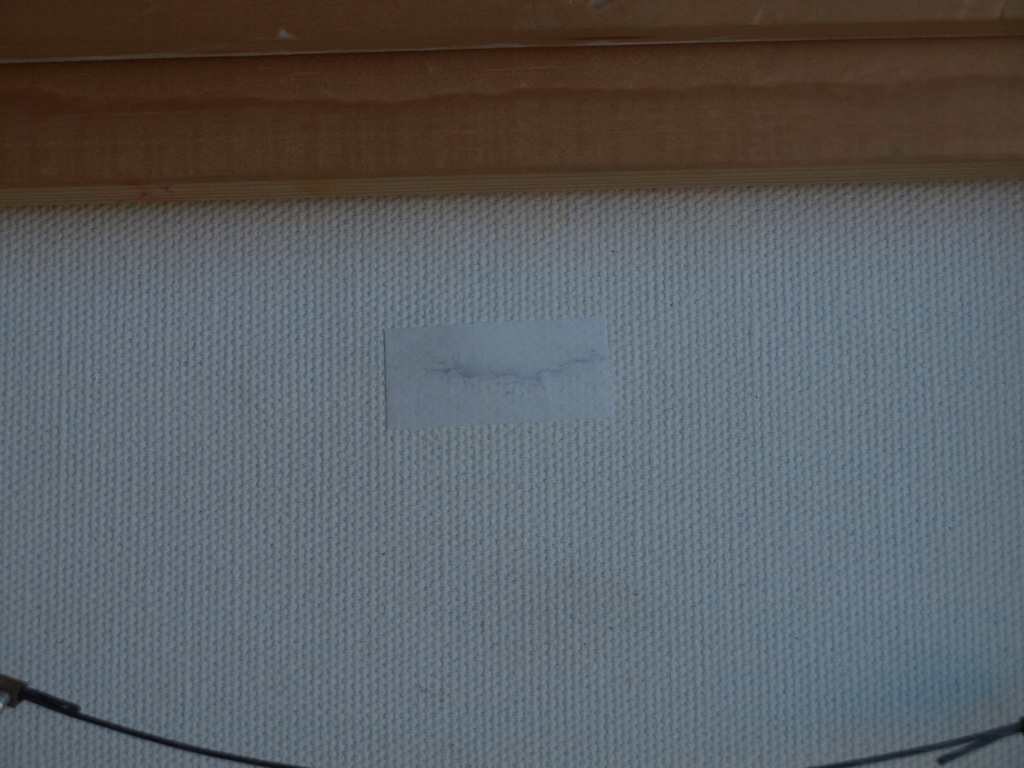 Ilja Walraven : Acrylverf en zink , koorddanser 2 â�� gesigneerd & ingelijst â��1996 kopen? Bied vanaf 125!