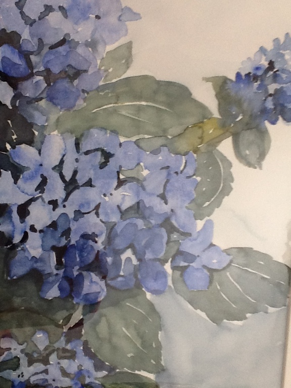 Aquarel van blauwe hortensia van Mees Douglas kopen? Bied vanaf 125!