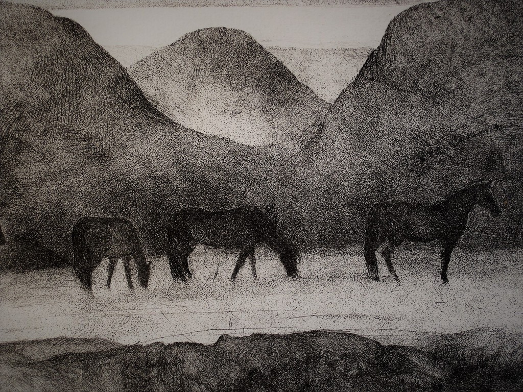 Zeldzaam "Paarden in het zand" Litho vn jonggestorven Grafica Karin Dekeukeleire kopen? Bied vanaf 1!