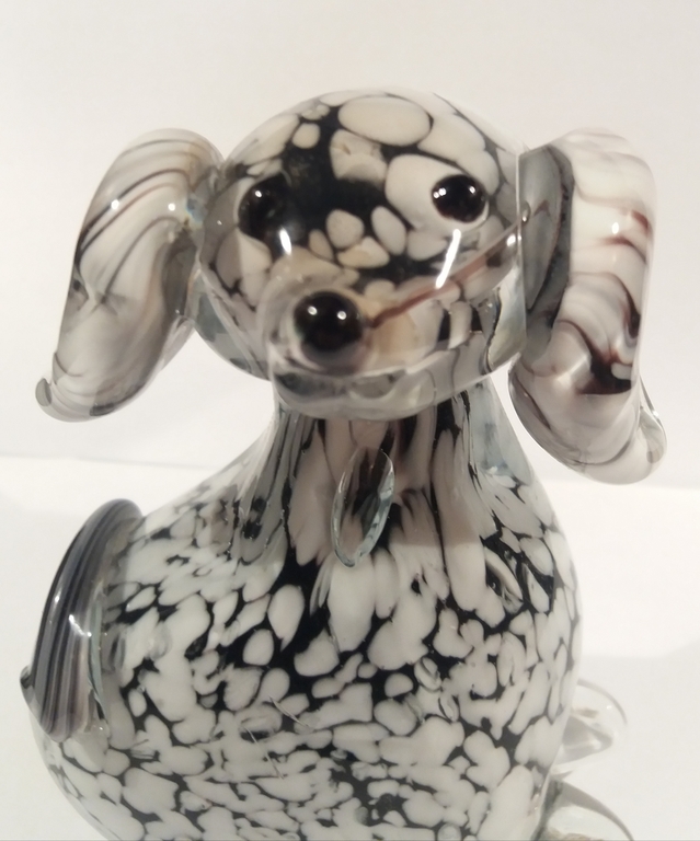 Groot murano dalmatier pup  kopen? Bied vanaf 1!